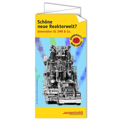 Flyer: Schöne neue Reaktorwelt