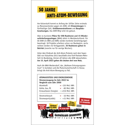 Flyer: Gemeinsam gewonnen - noch viel zu tun!