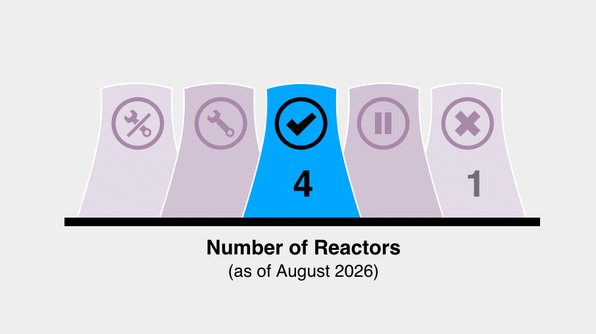 Webseite World Nuclear Industry Status Report (WNISR) Schweiz
