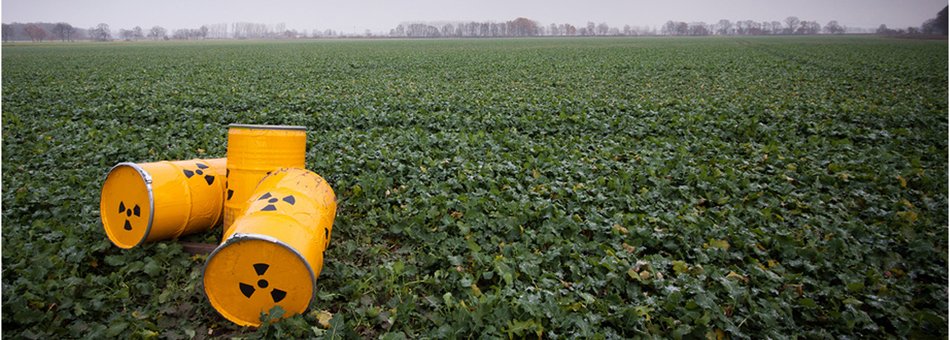 Foto: Drei gelbe Atommüllfässer liegen in einem grünen Feld.